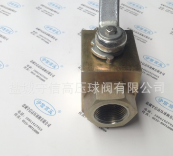 YJZQ内螺纹高压球阀 YJZQ-J25W NPT1” G1” 碳钢