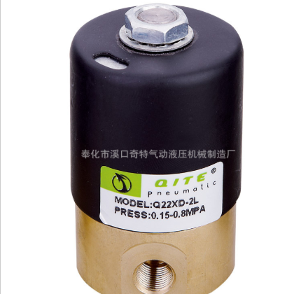 Q22XD-2L3L4L二位二通先导电磁阀 DC12V24V AC220V