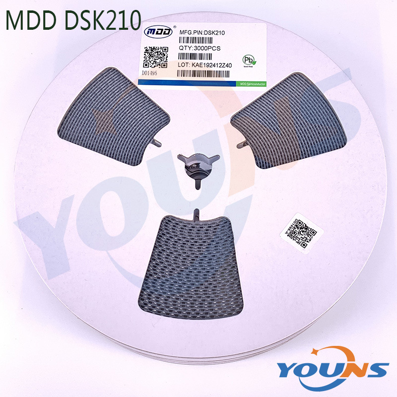 DSK210.jpg