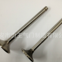 气门，拉达气门2101 2108 2112，汽车气门，各种外贸气门