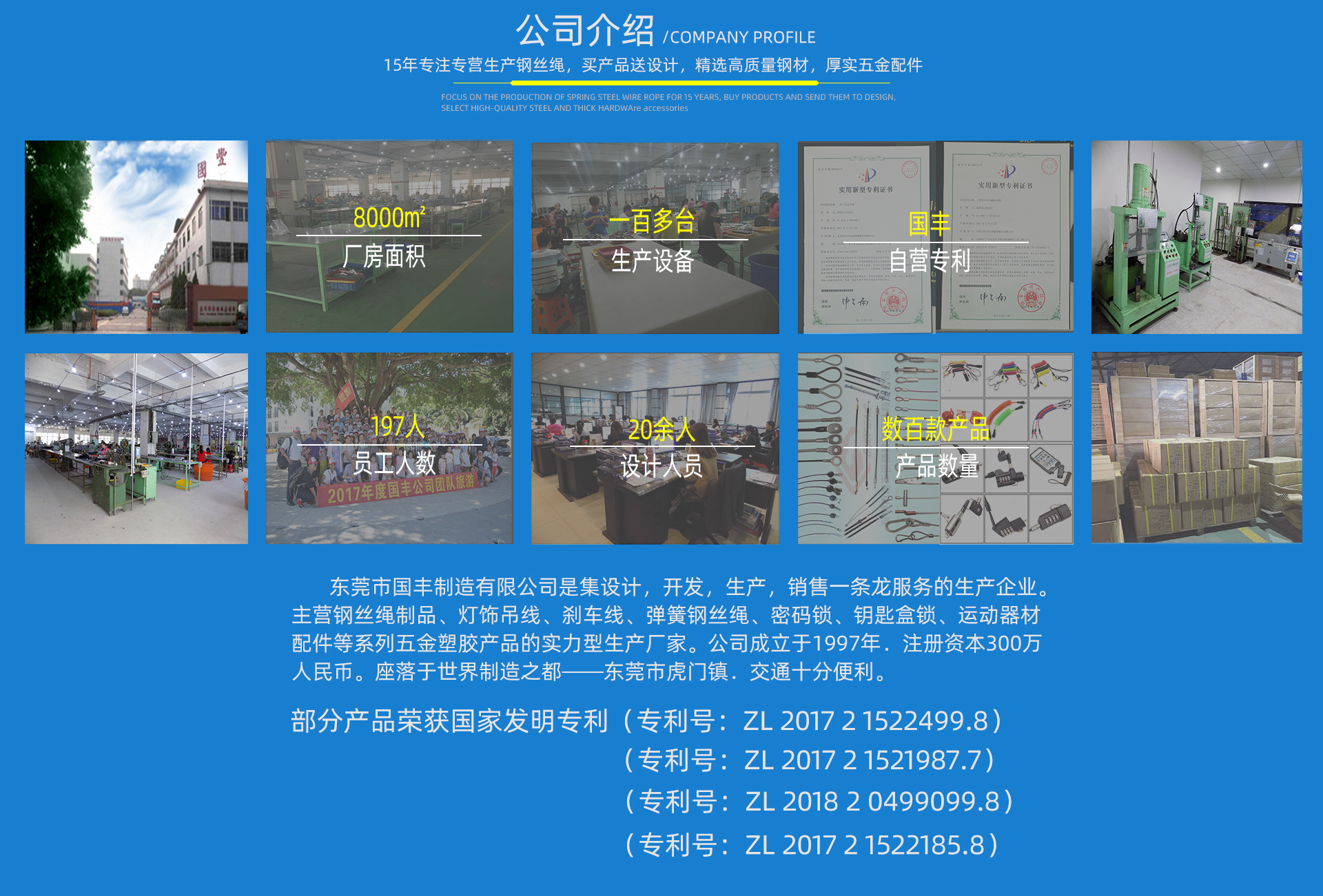 公司实力图