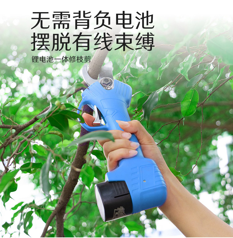 详情1_04.jpg
