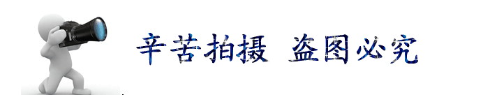 2886257991_161113102