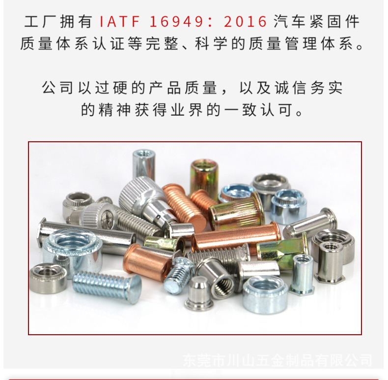 种焊螺钉_06.jpg