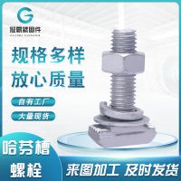 热镀锌哈芬槽螺栓 高强度8.8级哈芬槽用T型螺栓幕墙带齿螺栓