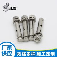 厂家定制不锈钢膨胀螺栓201不锈钢建筑膨胀螺丝拉爆螺丝螺栓
