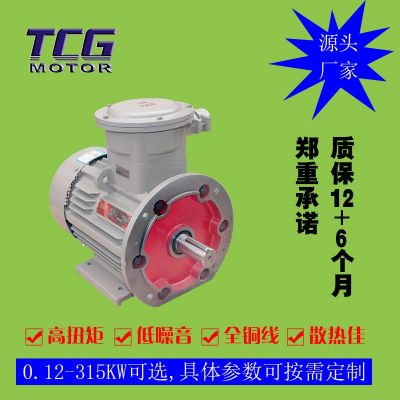 厂家直供YBX3防爆电机4极 三相隔爆型电动机 11kw 塑料风扇通风
