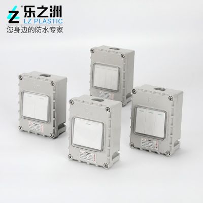 IP66化工矿区防暴雨防溅工业电源墙壁双控开关户外防水防爆开关