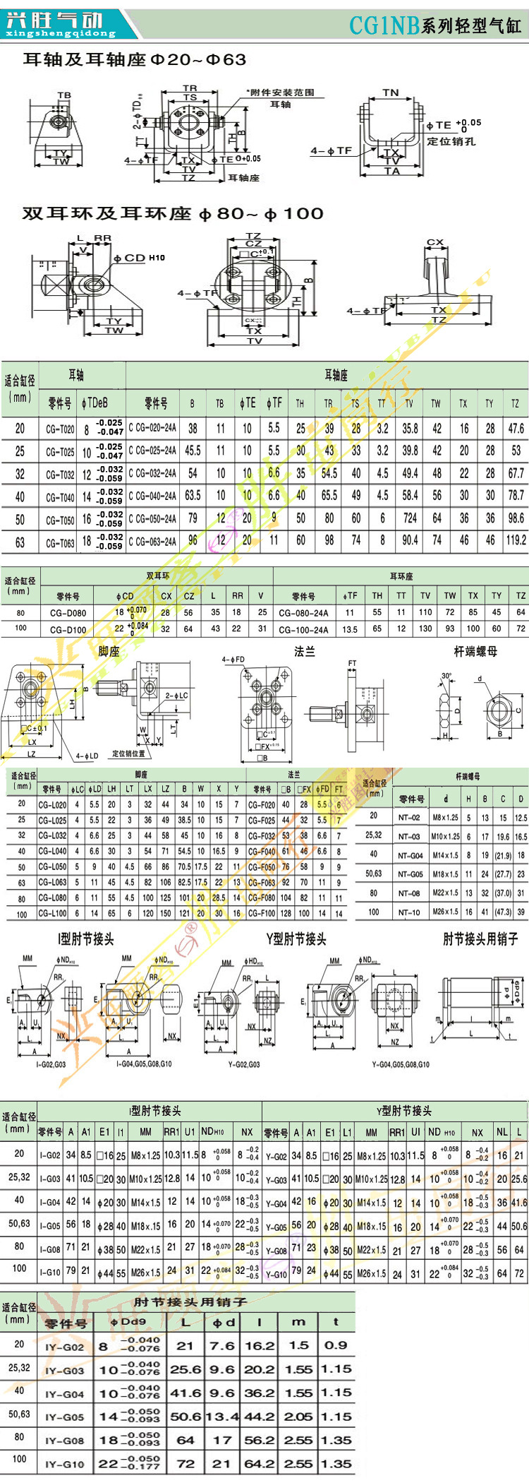 cg1bn尾.jpg