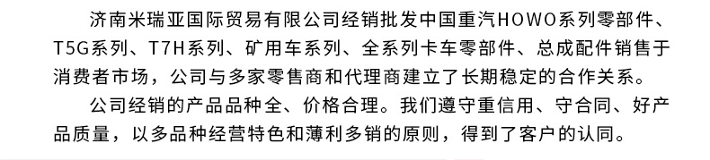 V型推力杆_12.jpg